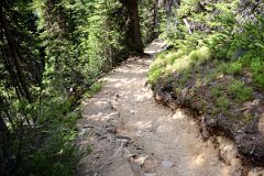 12 The Trail Descends From Lake Agnes Trail To Plain Of Six Glaciers Trail Near Lake Louise